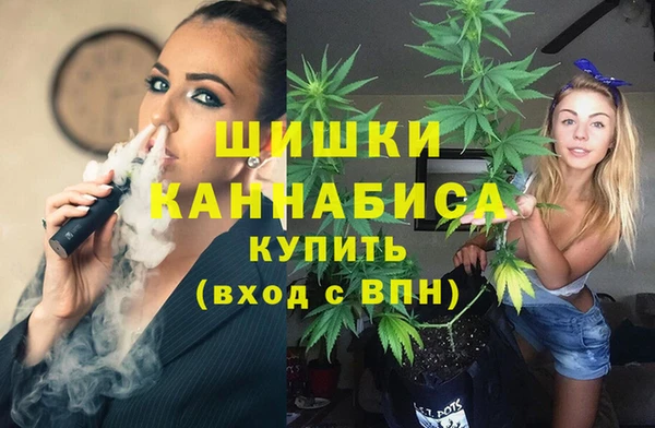 метадон Коряжма