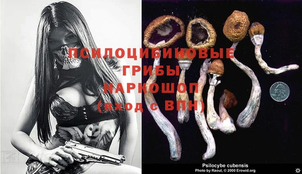 ПСИЛОЦИБИНОВЫЕ ГРИБЫ Краснотурьинск