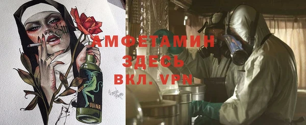 ПСИЛОЦИБИНОВЫЕ ГРИБЫ Краснотурьинск